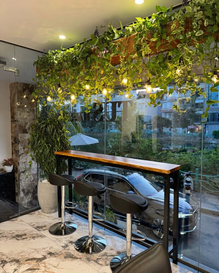 Quầy bar gỗ dưới giàn cây xanh và bóng đèn ấm, nhìn ra mặt kính có chữ Tus của salon